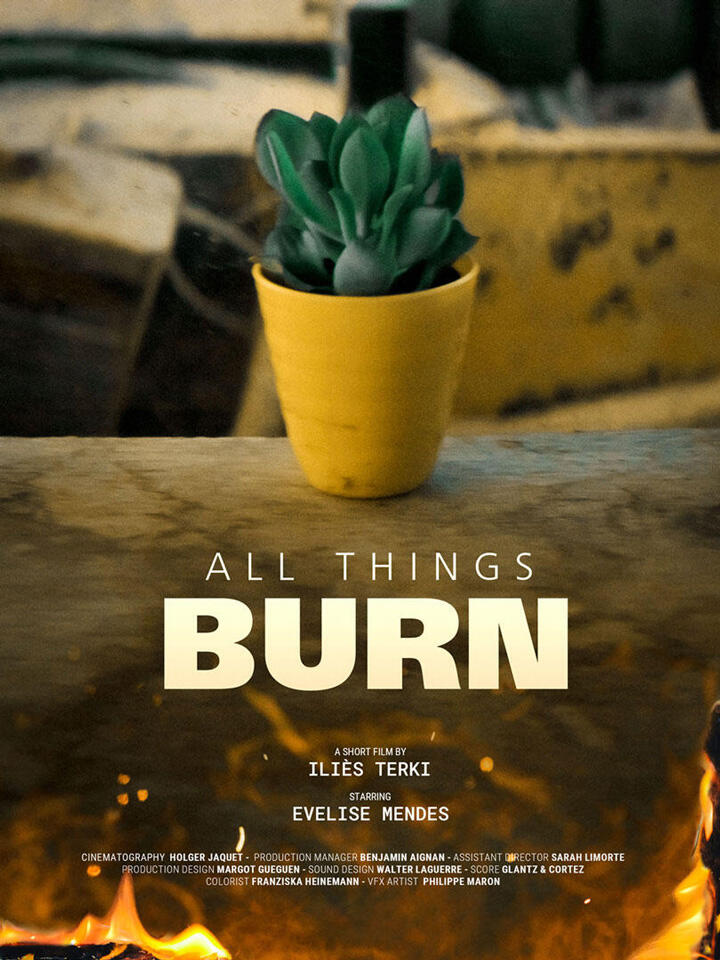 Thumbnail for 'All Things Burn' featuring a potted succulent on a dashboard.